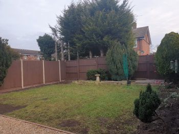 Back Garden