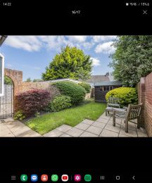 back garden