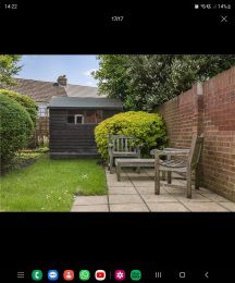 back garden