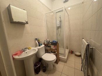 Bathroon 2: Electric Shower Cubicle