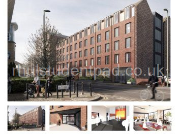 Featured Property